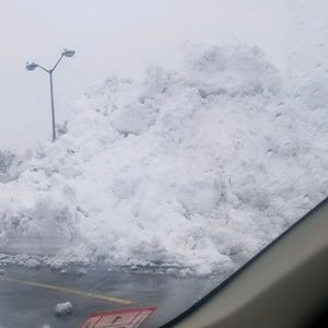 Meet your Posher, Carol